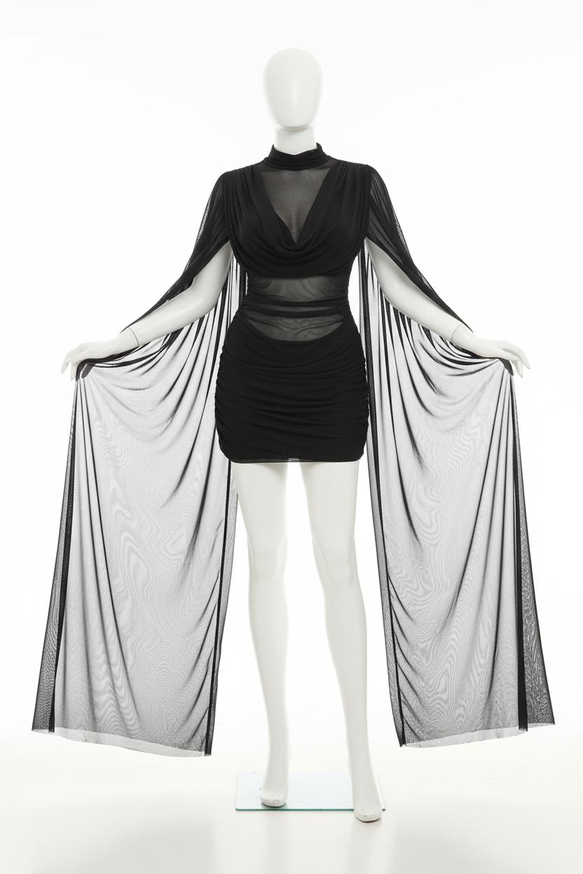 Black mesh dress professional photo